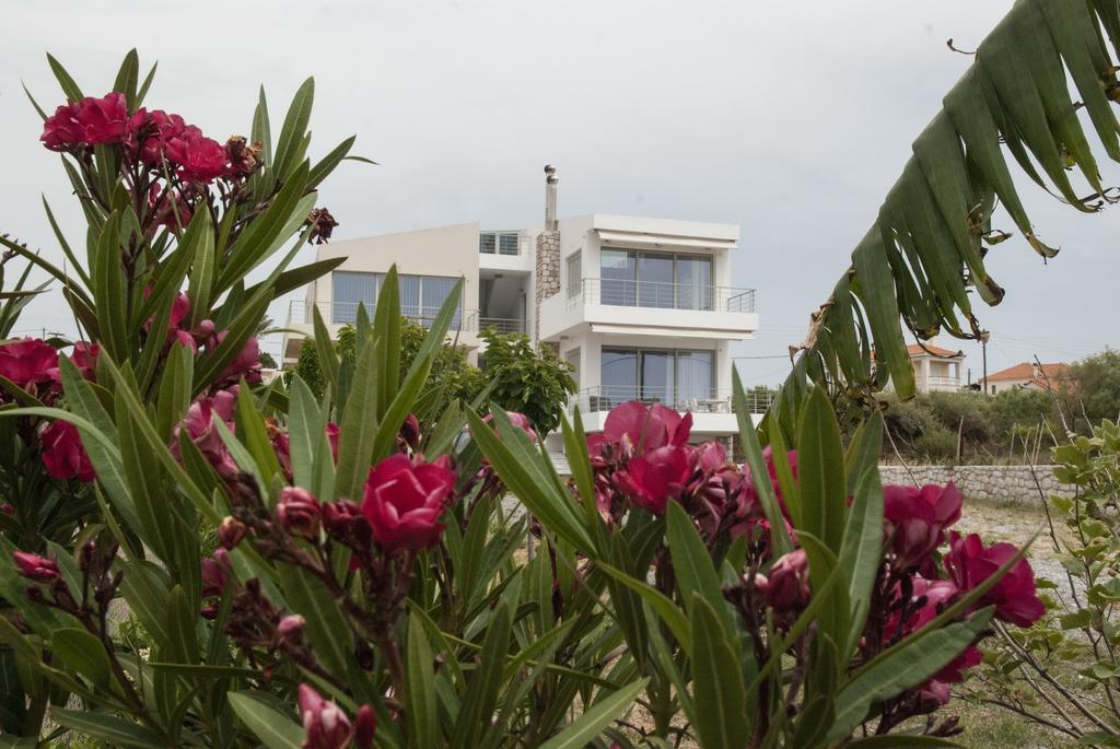 Ilios H&E House Daire Elia  Dış mekan fotoğraf